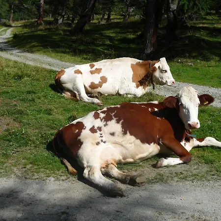 Gasthof Glocknerblick