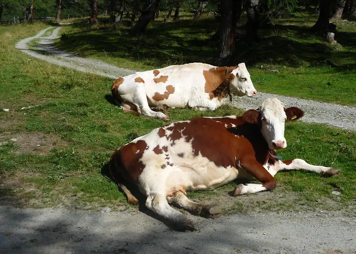 Braugasthof Glocknerblick